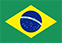 Brazilian flag icon.